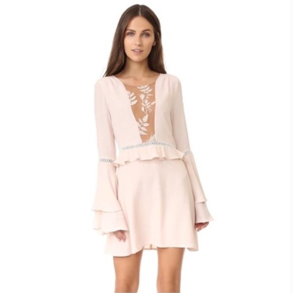 For Love & Lemons / Emilia Mesh Flare Mini Dress - Picture 3 of 14
